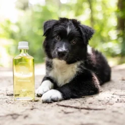 Tales & Tails Ergänzungsfutter für Hunde Lachsöl Oh Mega, 240 ml