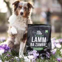 Tales & Tails Soft-Trockenfutter für Hunde LammBa Zamba