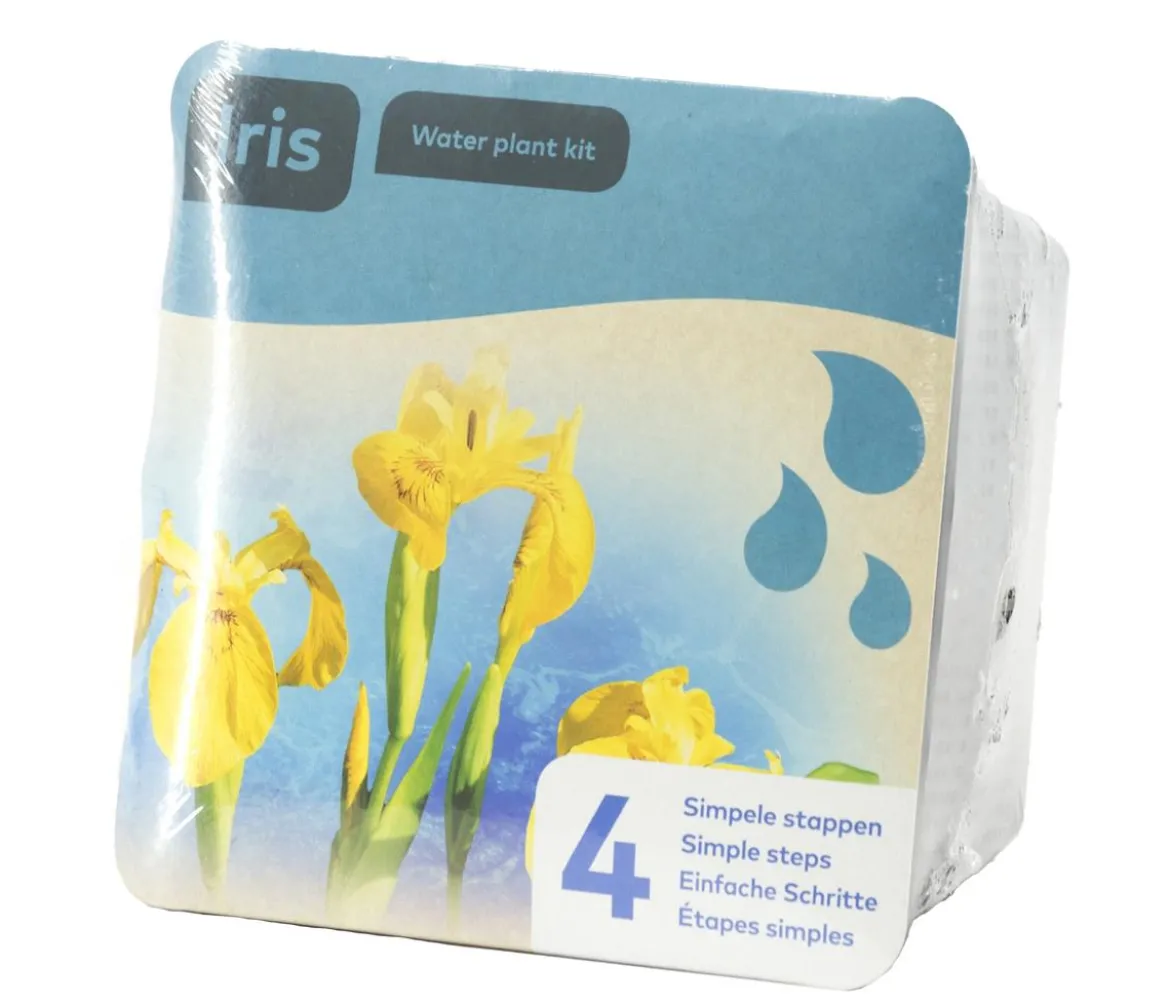 Teichpflanzen Komplett-Set Iris, 6-teilig