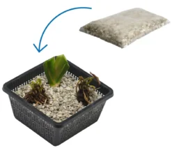 Teichpflanzen Komplett-Set Iris, 6-teilig