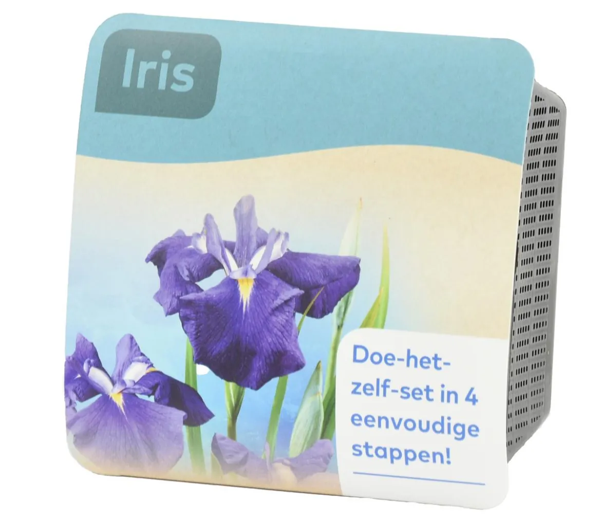 Teichpflanzen Komplett-Set Iris, 6-teilig