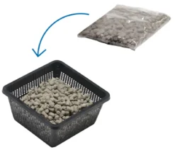 Teichpflanzen Komplett-Set Kalmus, 6-teilig