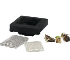 Teichpflanzen Komplett-Set Vielfalt, 6-teilig