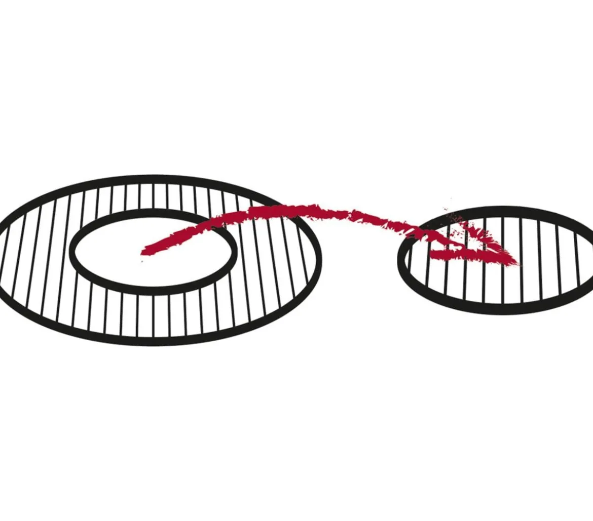 tepro Guss-Grillrosteinleger Ø 30,5 cm