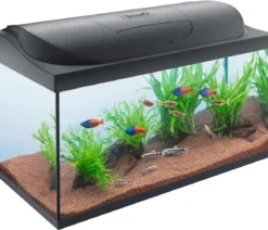 Tetra Aquarium-Set Starter Line LED, 105 l, ca. B76/H48/T37 cm