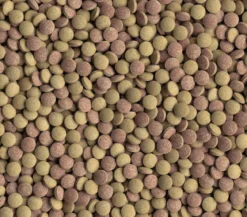 Tetra Fischfutter Tablets TabiMin