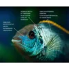 Tetra Fischfutter TetraPro Menu