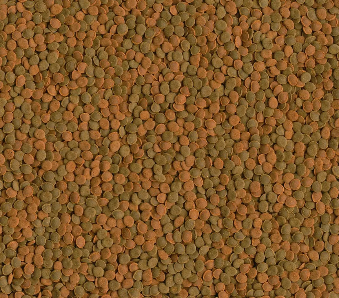 Tetra Fischfutter Wafer MiniMix, 100 ml