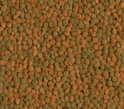 Tetra Fischfutter Wafer Mix