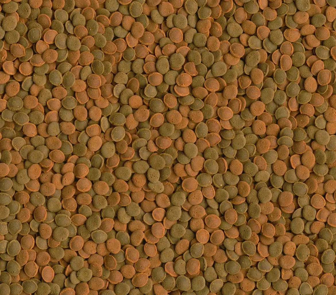 Tetra Fischfutter Wafer Mix