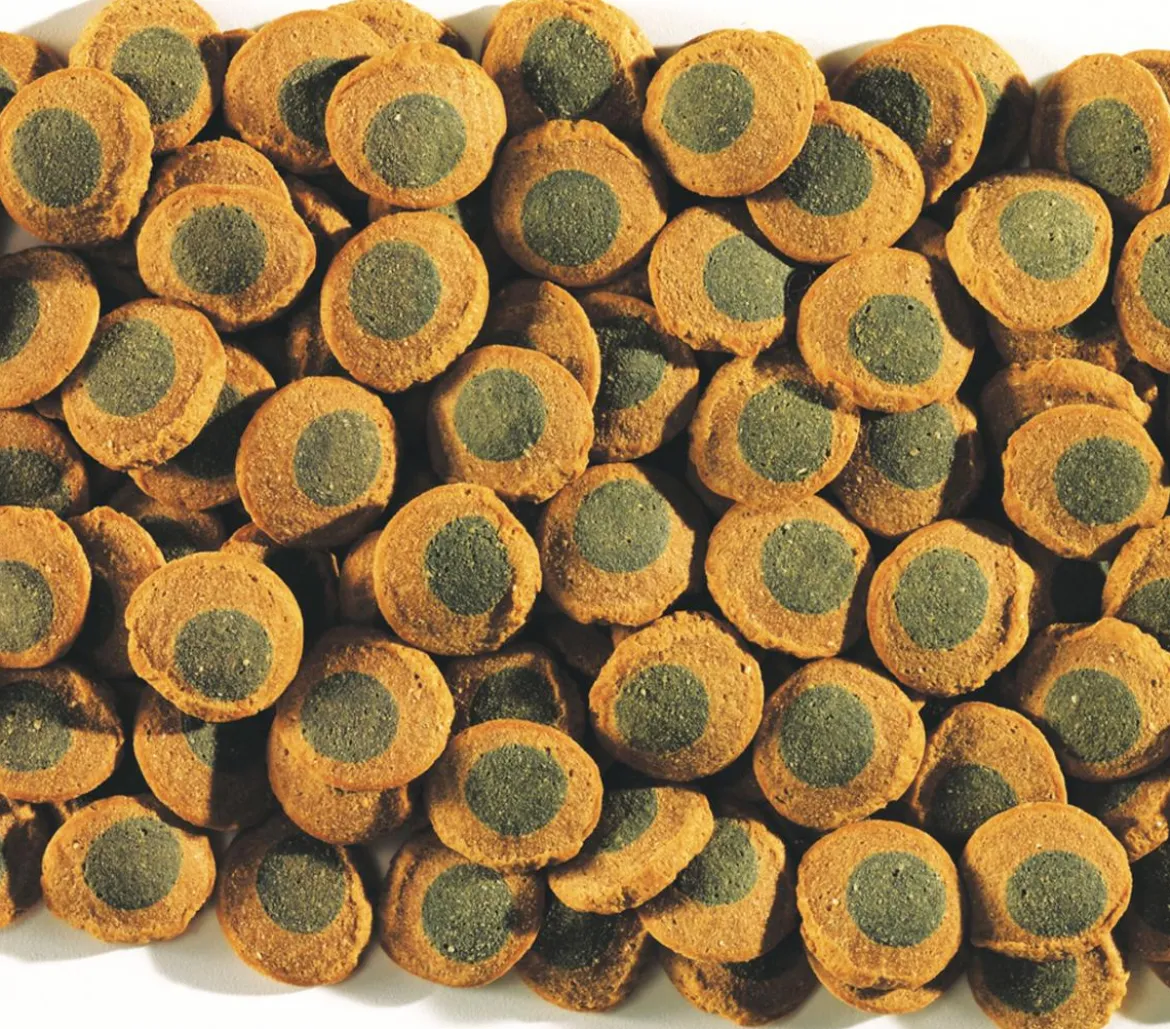 Tetra Pleco SpirulinaWafers, 250 ml