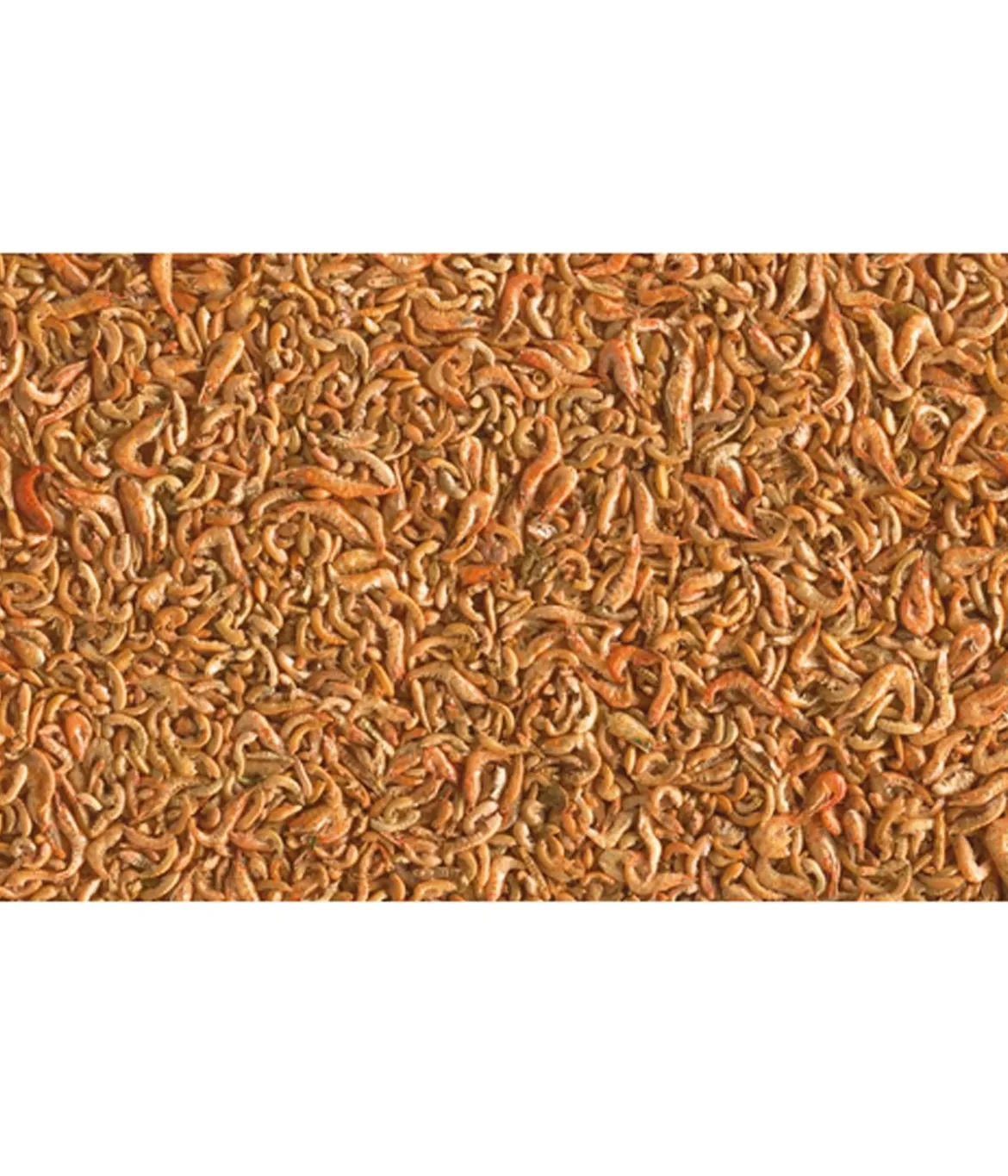 Tetra Pond Teichfischsnack Shrimp Mix