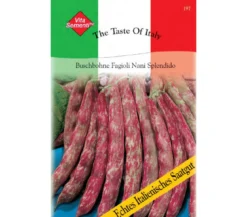 Thompson & Morgan Samen Buschbohne 'Fagioli Nani Splendido'