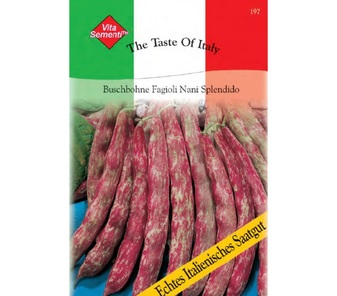 Thompson & Morgan Samen Buschbohne 'Fagioli Nani Splendido'