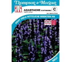 Thompson & Morgan Samen Duftnessel 'Astello Indigo'