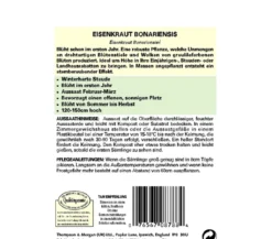 Thompson & Morgan Samen Eisenkraut 'Bonariensis'
