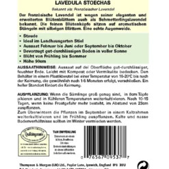 Thompson & Morgan Samen Französischer Lavendel
