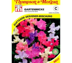 Thompson & Morgan Samen Gartenwicke The Girls