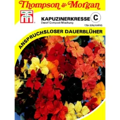 Thompson & Morgan Samen Kapuzinerkresse 'Dwarf Compact Mischung'