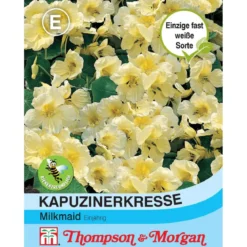 Thompson & Morgan Samen Kapuzinerkresse 'Milkmaid'