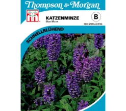Thompson & Morgan Samen Katzenminze 'Blue Moon'