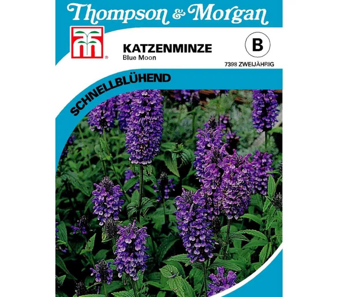Thompson & Morgan Samen Katzenminze 'Blue Moon'