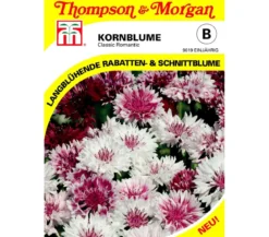 Thompson & Morgan Samen Kornblume 'Classic Romantic'