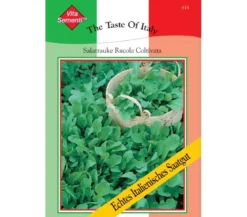 Thompson & Morgan Samen Rucola 'Coltivata'