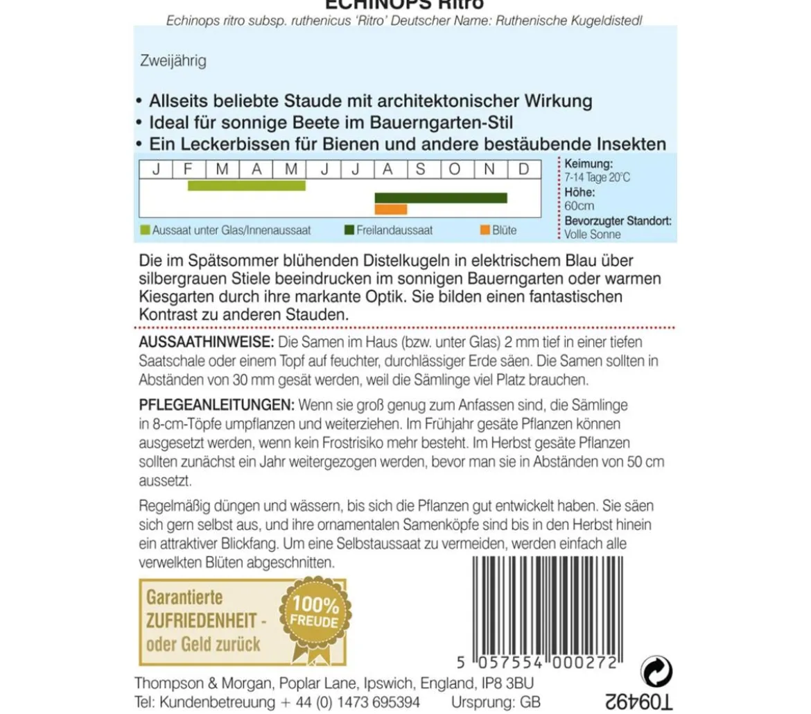 Thompson & Morgan Samen Ruthenische Kugeldistel 'Ritro'