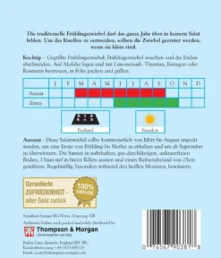Thompson & Morgan Samen Salatzwiebel 'Cipollotto'
