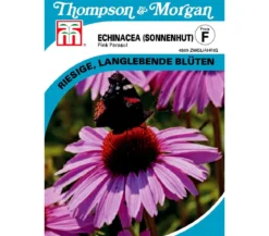 Thompson & Morgan Samen Sonnenhut 'Pink Parasol'