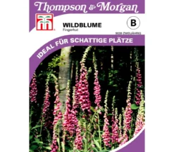 Thompson & Morgan Samen Wildblume 'Fingerhut'