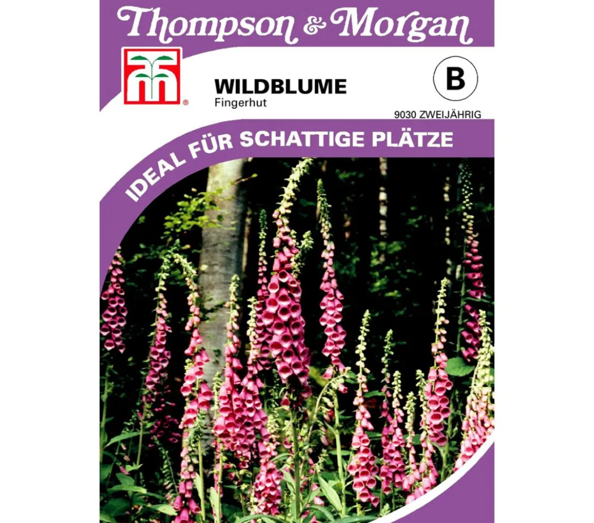 Thompson & Morgan Samen Wildblume 'Fingerhut'
