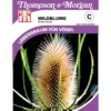 Thompson & Morgan Samen Wildblume 'Wilde Karde'