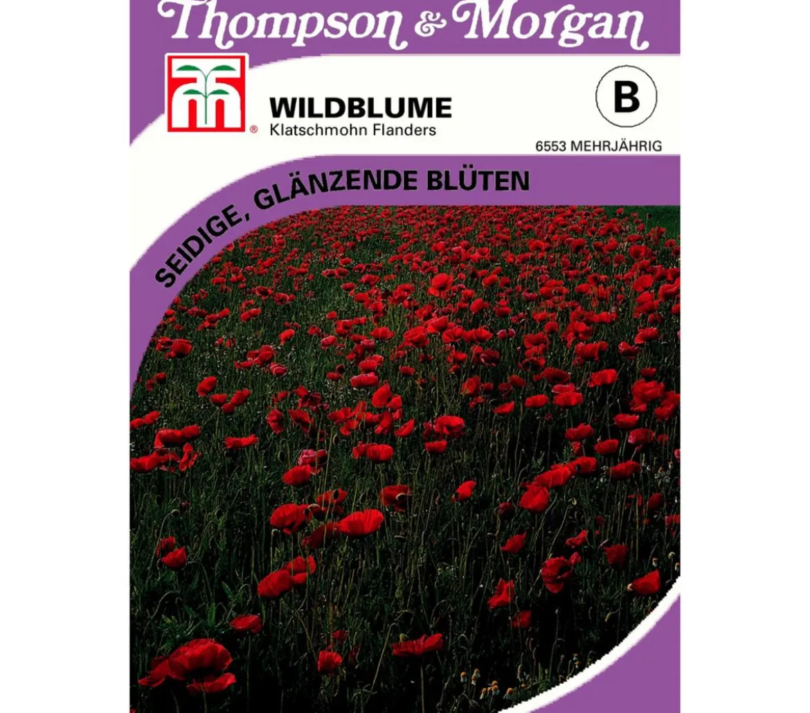 Thompson & Morgan Samen Wildblume 'Klatschmohn Flanders'