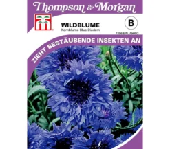Thompson & Morgan Samen Wildblume 'Blue Diadem'