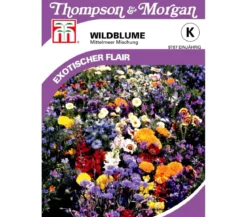Thompson & Morgan Samen Wildblume 'Mittelmeer Mischung'