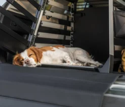 THULE® Allax L Hundetransportbox, ca. B69/H70/T93-105 cm