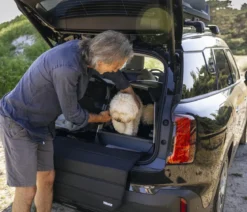 THULE® Allax threshold compatible M Compact Hundetransportbox für Fahrzeuge mit Ladekante, ca. B65/H65/T77-82 cm
