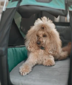 THULE® Bexey Hundebett für Fahrradanhänger