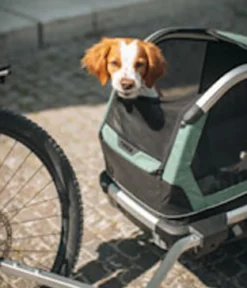THULE® Bexey Hunde-Fahrradanhänger, Hazy Green