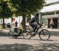 THULE® Bexey Hunde-Fahrradanhänger, Hazy Green