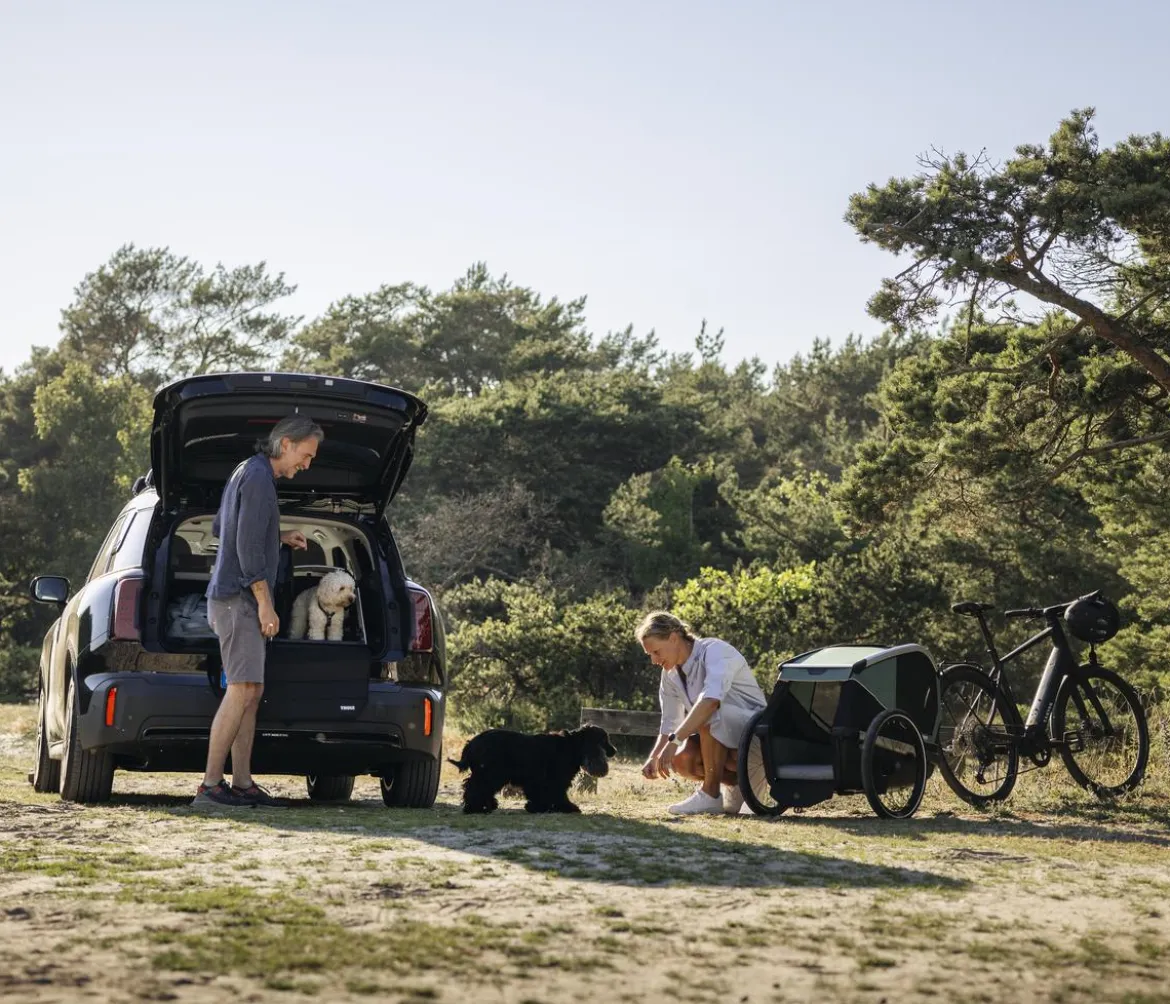 THULE® Bexey Hunde-Fahrradanhänger, Hazy Green