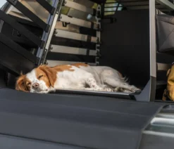 THULE® Bodenmatte Dog Crate Mat Wide, ca. B110/H58,3 cm