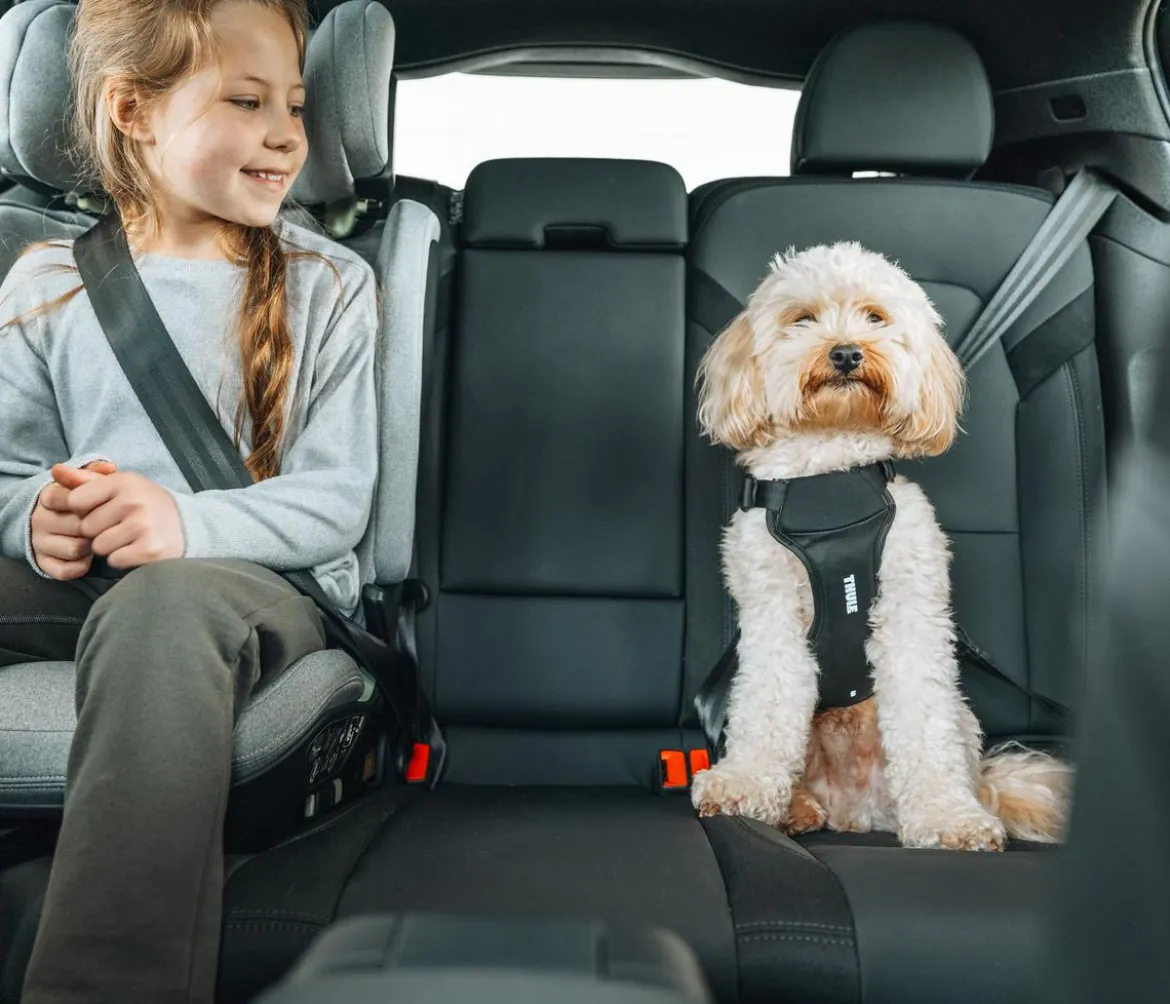 THULE® Hundegeschirr für Autos Cappy