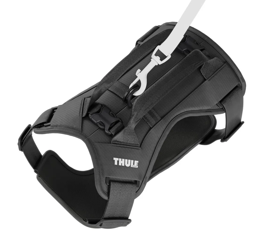 THULE® Hundegeschirr für Autos Cappy