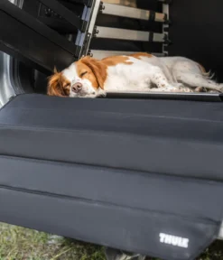 THULE® Ladekantenschutz Bumper Protector Standard, ca. B75/H75 cm