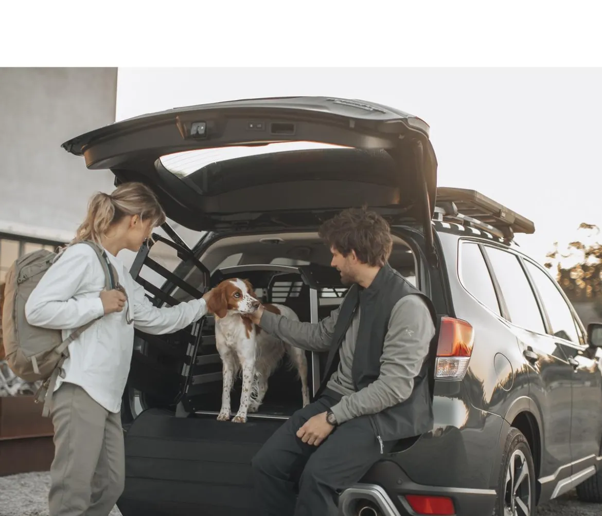 THULE® Ladekantenschutz Bumper Protector Standard, ca. B75/H75 cm
