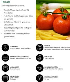 Tomate 'Garance'