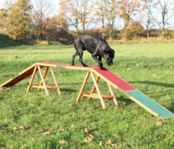 Trixie Agility Steg Fun, ca. B30/H64/T456 cm